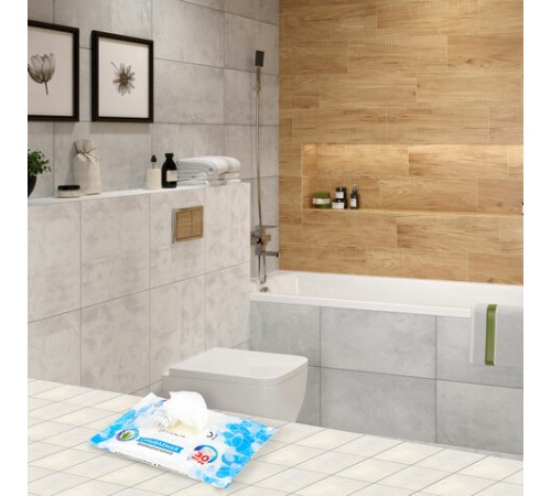 Бумага туалетная влажная смываемая, 30 шт., БИОРАЗЛАГАЕМАЯ, с экстрактом алоэ вера, LAIMA, 128082