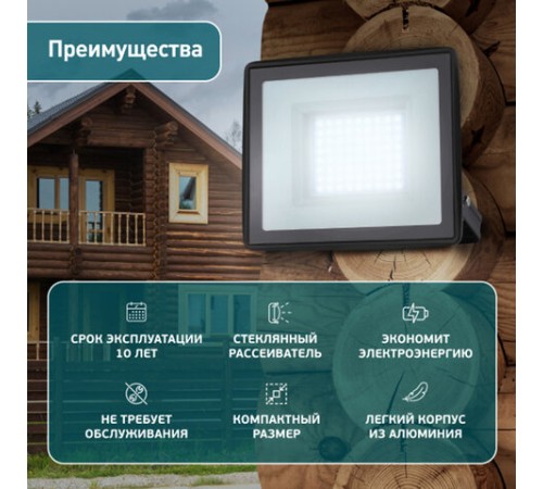 Прожектор светодиодный ЭРА, 20(175) Вт, 6500К, 1600 Лм, IP65, черный, LPR-023-0-65K-020, Б0052022