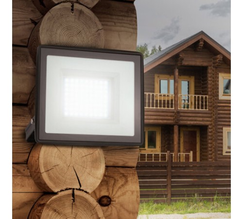 Прожектор светодиодный ЭРА, 50(415) Вт, 6500К, 4000 Лм, IP65, черный, LPR-023-0-65K-050, Б0052024