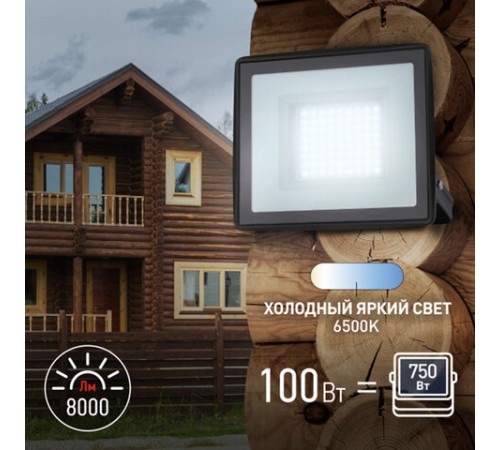 Прожектор светодиодный ЭРА, 100 (830) Вт, 6500 К, 8000 Лм, IP65, черный, LPR-023-0-65K-100, Б0052026