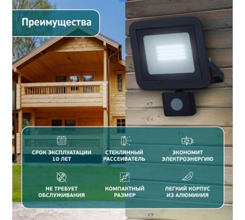 Прожектор светодиодный ЭРА, датчик движения, 20(175) Вт, 6500К, 1600 Лм, IP65, черный, LPR-041-2-65K-020, Б0043585