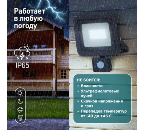 Прожектор светодиодный ЭРА, датчик движения, 20(175) Вт, 6500К, 1600 Лм, IP65, черный, LPR-041-2-65K-020, Б0043585