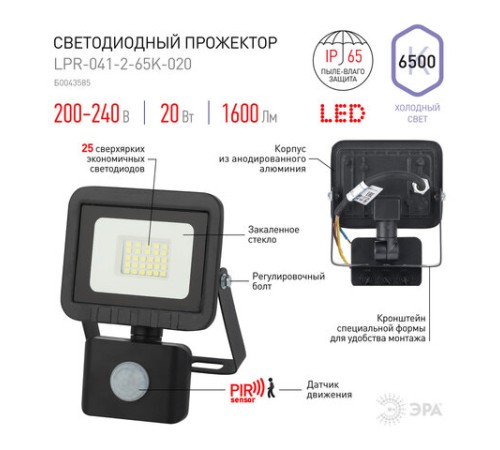 Прожектор светодиодный ЭРА, датчик движения, 20(175) Вт, 6500К, 1600 Лм, IP65, черный, LPR-041-2-65K-020, Б0043585