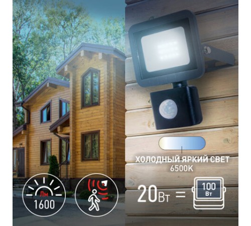Прожектор светодиодный ЭРА, датчик движения, 20(175) Вт, 6500К, 1600 Лм, IP65, черный, LPR-041-2-65K-020, Б0043585