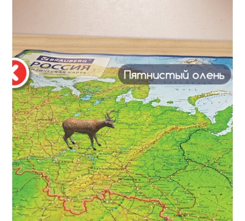Карта России физическая 101х70 см, 1:8,5М, с ламинацией, интерактивная, европодвес, BRAUBERG, 112392 Карта России физическая 101х70 см, 1:8,5М, с ламинацией, интерактивная, европодвес, BRAUBERG, 112392