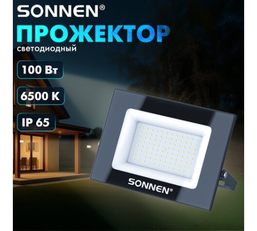 Прожектор светодиодный 100 Вт, 6500 К, 8000 Лм, 100 м2, IP65, 250x178x27 мм, черный, SONNEN, 238415