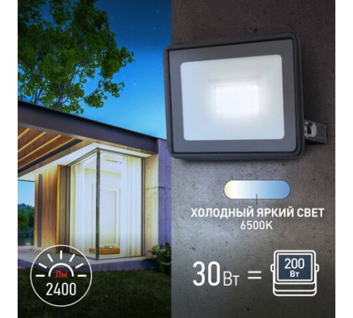 Прожектор светодиодный ЭРА, 30 (250) Вт, 6500 К, 2400 Лм, IP65, LPR-023-0-65K-030, Б0052023
