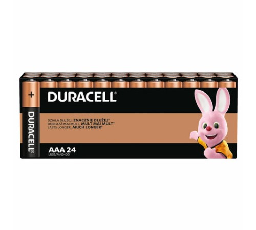Батарейки КОМПЛЕКТ 24 шт., DURACELL Basic ОРИГИНАЛ, ААА (LR03, 24А), алкалиновые, мизинчиковые, Б0064969