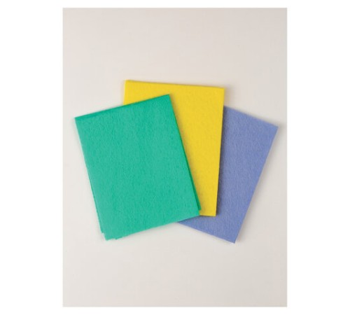 Салфетки универсальные, 30х38 см, КОМПЛЕКТ 3 шт., 90 г/м2, вискоза, PACLAN Professional