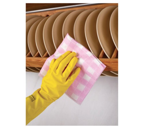 Салфетки универсальные, 35х35 см, КОМПЛЕКТ 5 шт., 50 г/м2, вискоза (спанлейс), PACLAN 