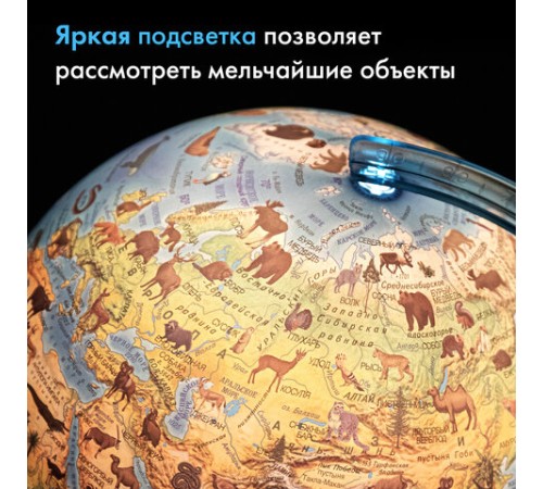 Глобус интерактивный + очки VR, зоогеографический, GLOBEN, 25см, с подсветкой, INT12500306 Глобус интерактивный + очки VR, зоогеографический, GLOBEN, 25см, с подсветкой, INT12500306