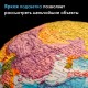 Глобус интерактивный + очки VR, физический / политический, GLOBEN, 32 см, рельефный, с подсветкой, INT13200290