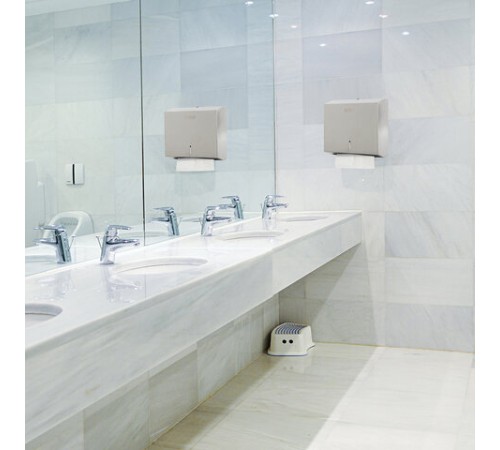 Диспенсер для полотенец LAIMA PROFESSIONAL BASIC (H2) Z-сложения, нержавеющая сталь, матовый, 605050