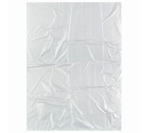 Пакеты фасовочные 24х37 см КОМПЛЕКТ 100 шт., ПНД, 8 мкм, рулон, LAIMA, 605951