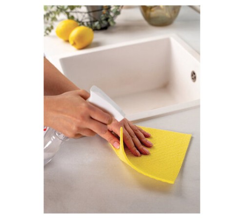 Салфетки целлюлозные (губчатые) 18х18 см, КОМПЛЕКТ 2 шт., PACLAN 