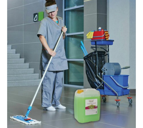 Мыло-крем 5 кг ЗОЛОТОЙ ИДЕАЛ, 