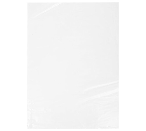 Пакеты фасовочные ПРОЧНЫЕ, первичный ПВД 40х60 см, КОМПЛЕКТ 100 шт., 40 мкм