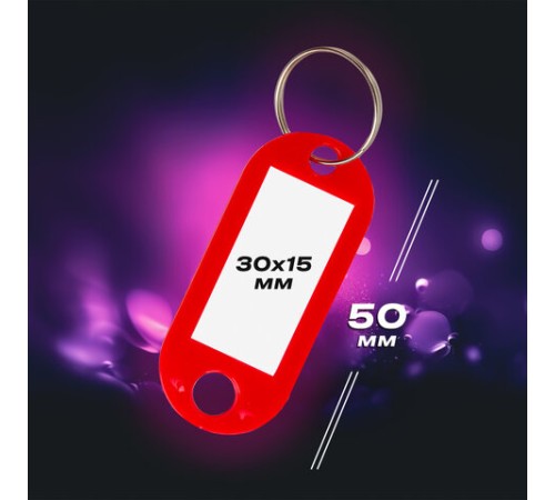Бирки для ключей КОМПЛЕКТ 12 шт., длина 50 мм, инфо-окно 30х15 мм, АССОРТИ, BRAUBERG, 231151 Бирки для ключей КОМПЛЕКТ 12 шт., длина 50 мм, инфо-окно 30х15 мм, АССОРТИ, BRAUBERG, 231151