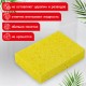 Губки для посуды 95х65х20 мм, ЦЕЛЛЮЛОЗНЫЕ, КОМПЛЕКТ 2 штуки, желтые, LAIMA, 700255