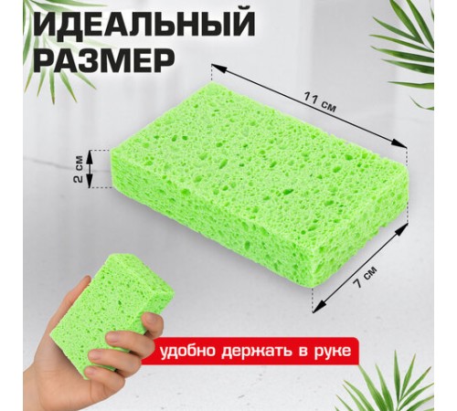 Губки для посуды 110х70х20 мм, ЦЕЛЛЮЛОЗНЫЕ, КОМПЛЕКТ 2 штуки, зеленые, LAIMA, 700257