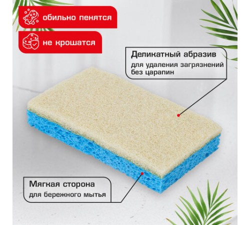 Губки для посуды 110х70х20 мм, ЦЕЛЛЮЛОЗНЫЕ + АБРАЗИВ, КОМПЛЕКТ 5 штук, синий/белый абразив, LAIMA, 700260