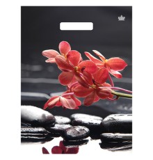 Пакет с вырубной ручкой ПВД ламинированный, 40х31 см, 