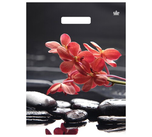 Пакет с вырубной ручкой ПВД ламинированный, 40х31 см, 