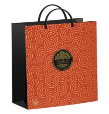 Пакет с пластиковой ручкой, мягкий пластик, 26х24см, 