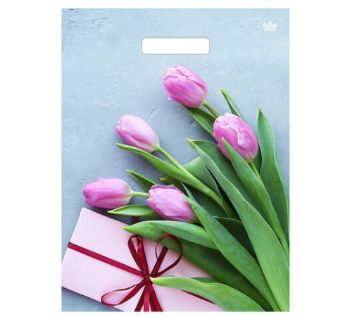 Пакет с вырубной ручкой ПВД, 40х31 см, 