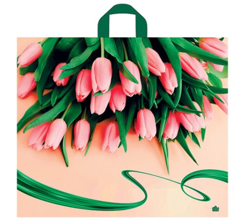 Пакет с петлевой ручкой ПВД, 50х60 см, 