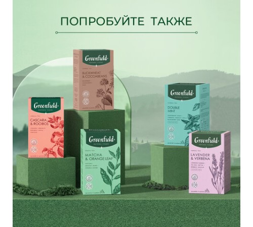 Чай GREENFIELD Natural Tisane 