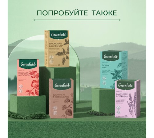 Чай GREENFIELD Natural Tisane 