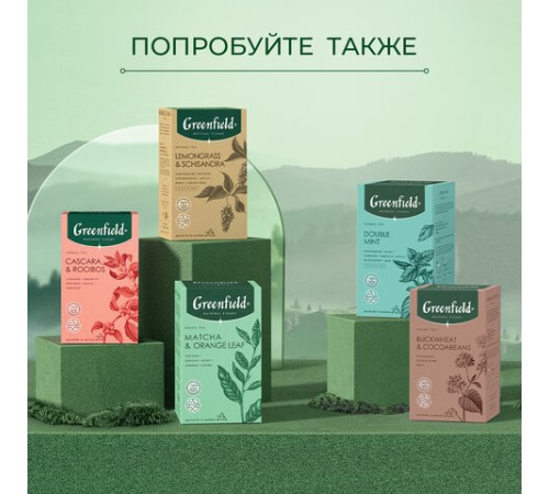 Чай GREENFIELD Natural Tisane 