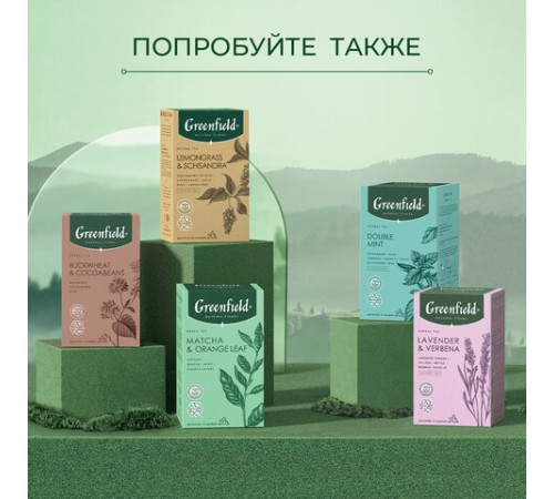 Чай GREENFIELD Natural Tisane 