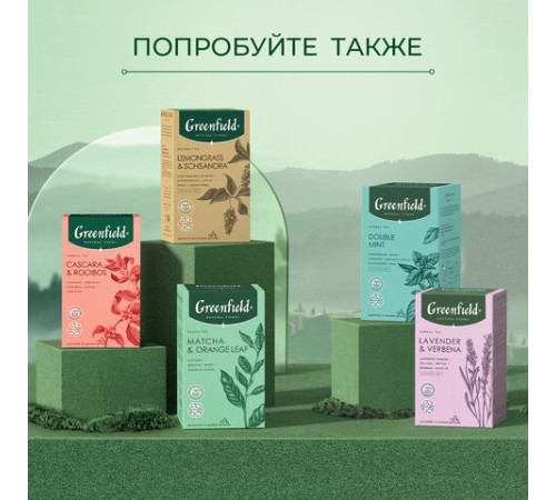 Чай GREENFIELD Natural Tisane 