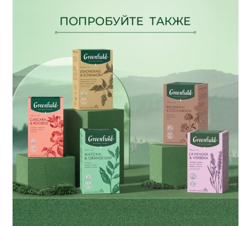 Чай GREENFIELD Natural Tisane 