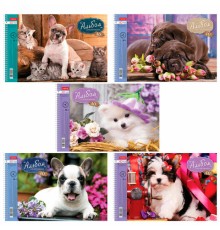 Альбом для рисования, А4, 40 листов, спираль, обложка картон, HATBER, 205х300 мм, 