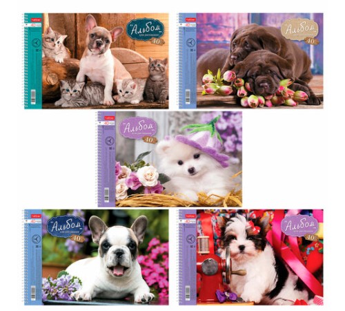 Альбом для рисования, А4, 40 листов, спираль, обложка картон, HATBER, 205х300 мм, 