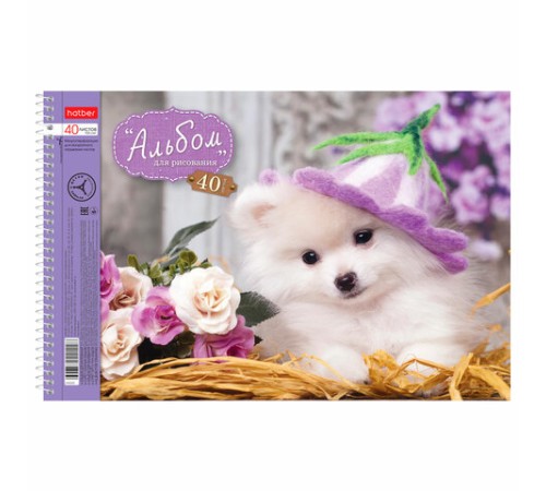 Альбом для рисования, А4, 40 листов, спираль, обложка картон, HATBER, 205х300 мм, 