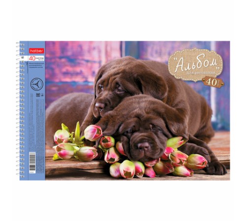 Альбом для рисования, А4, 40 листов, спираль, обложка картон, HATBER, 205х300 мм, 