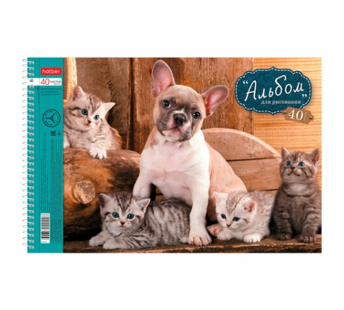Альбом для рисования, А4, 40 листов, спираль, обложка картон, HATBER, 205х300 мм, 