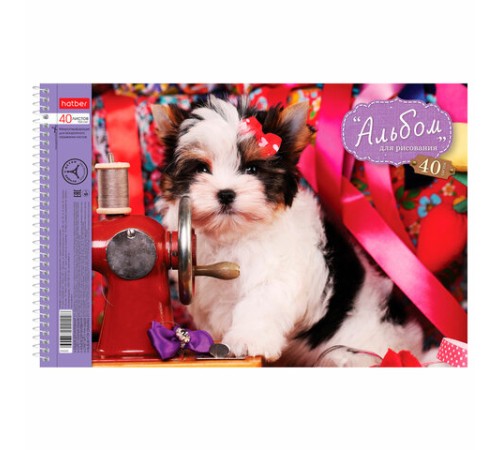 Альбом для рисования, А4, 40 листов, спираль, обложка картон, HATBER, 205х300 мм, 