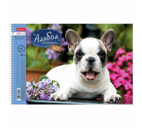 Альбом для рисования, А4, 40 листов, спираль, обложка картон, HATBER, 205х300 мм, 