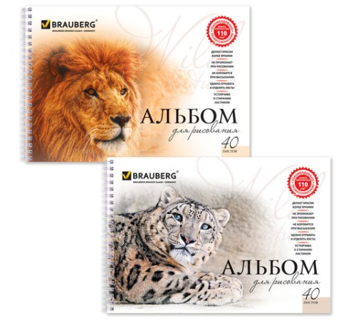 Альбом для рисования, А4, 40 листов, гребень, обложка картон, BRAUBERG, 205х290 мм, 