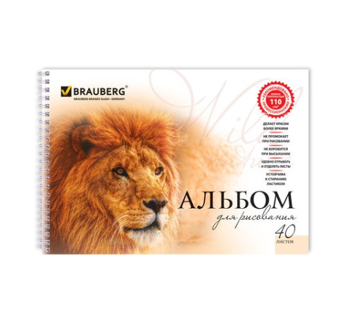 Альбом для рисования, А4, 40 листов, гребень, обложка картон, BRAUBERG, 205х290 мм, 