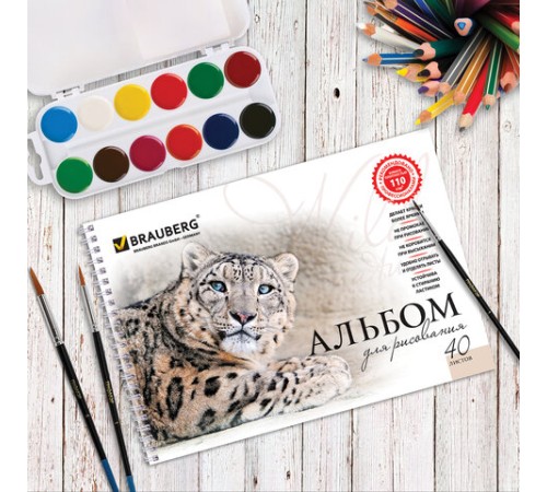 Альбом для рисования, А4, 40 листов, гребень, обложка картон, BRAUBERG, 205х290 мм, 