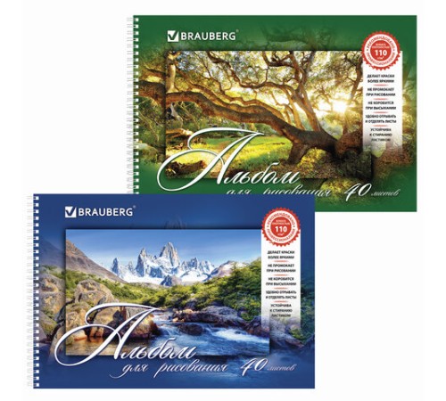 Альбом для рисования, А4, 40 листов, гребень, обложка картон, BRAUBERG, 195х285 мм, 