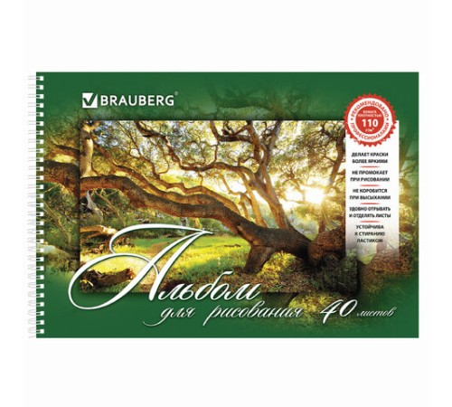 Альбом для рисования, А4, 40 листов, гребень, обложка картон, BRAUBERG, 195х285 мм, 