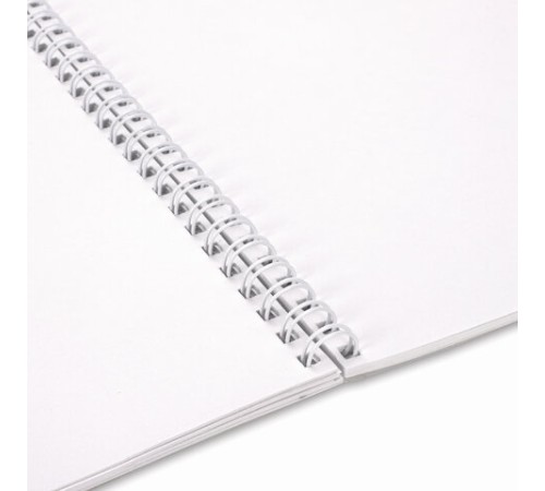 Альбом для рисования, А4, 40 листов, гребень, обложка картон, BRAUBERG, 195х285 мм, 