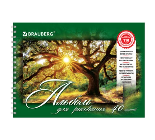 Альбом для рисования, А4, 40 листов, гребень, обложка картон, BRAUBERG, 195х285 мм, 